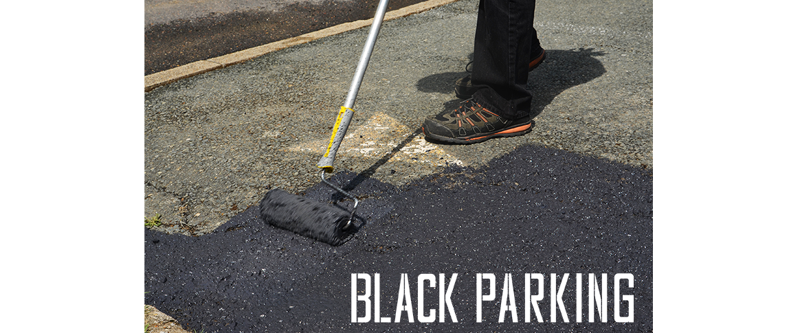 Aplicación Black parking